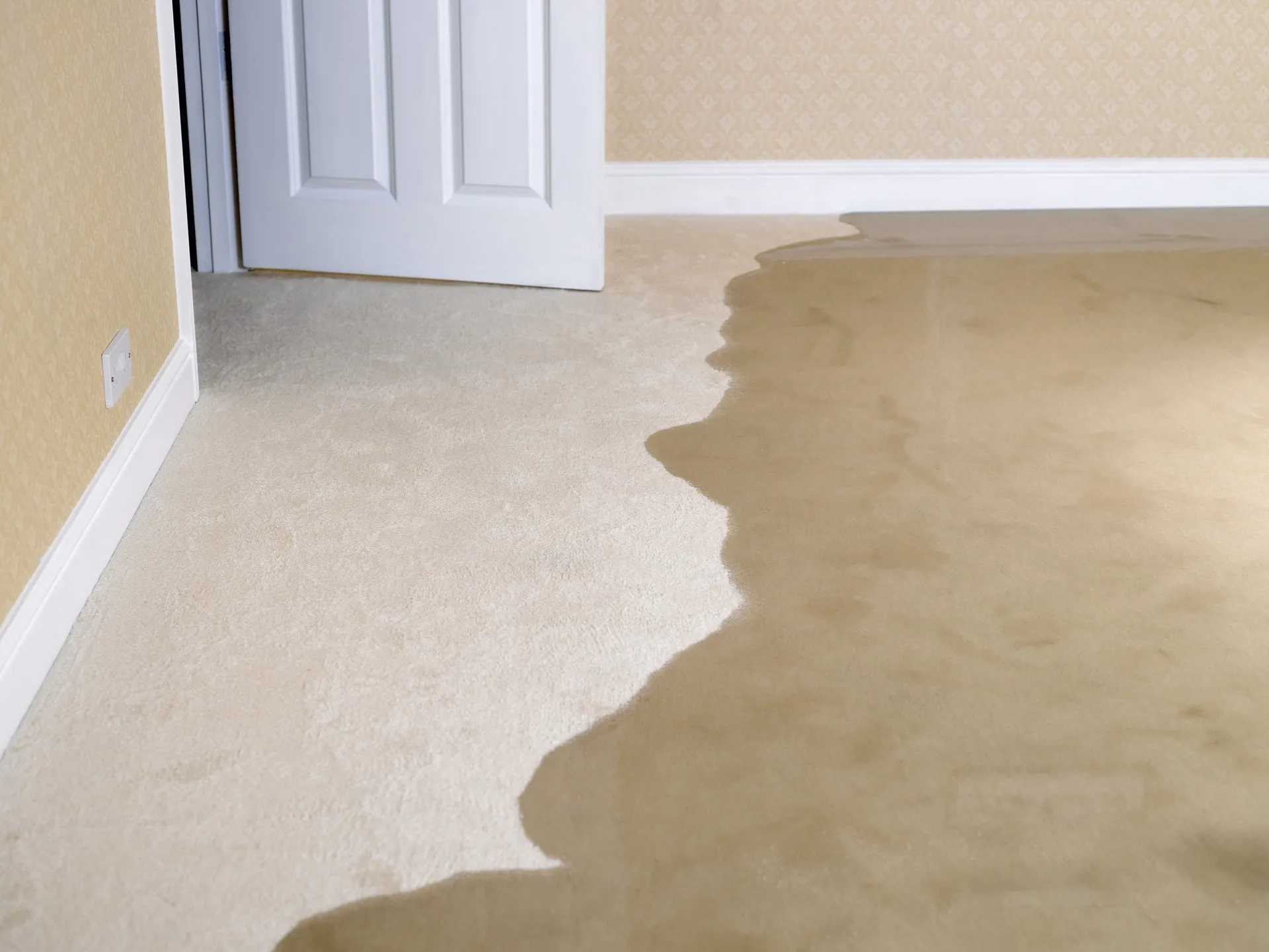 Carpet Rug Water and Fire Damage Remediation
