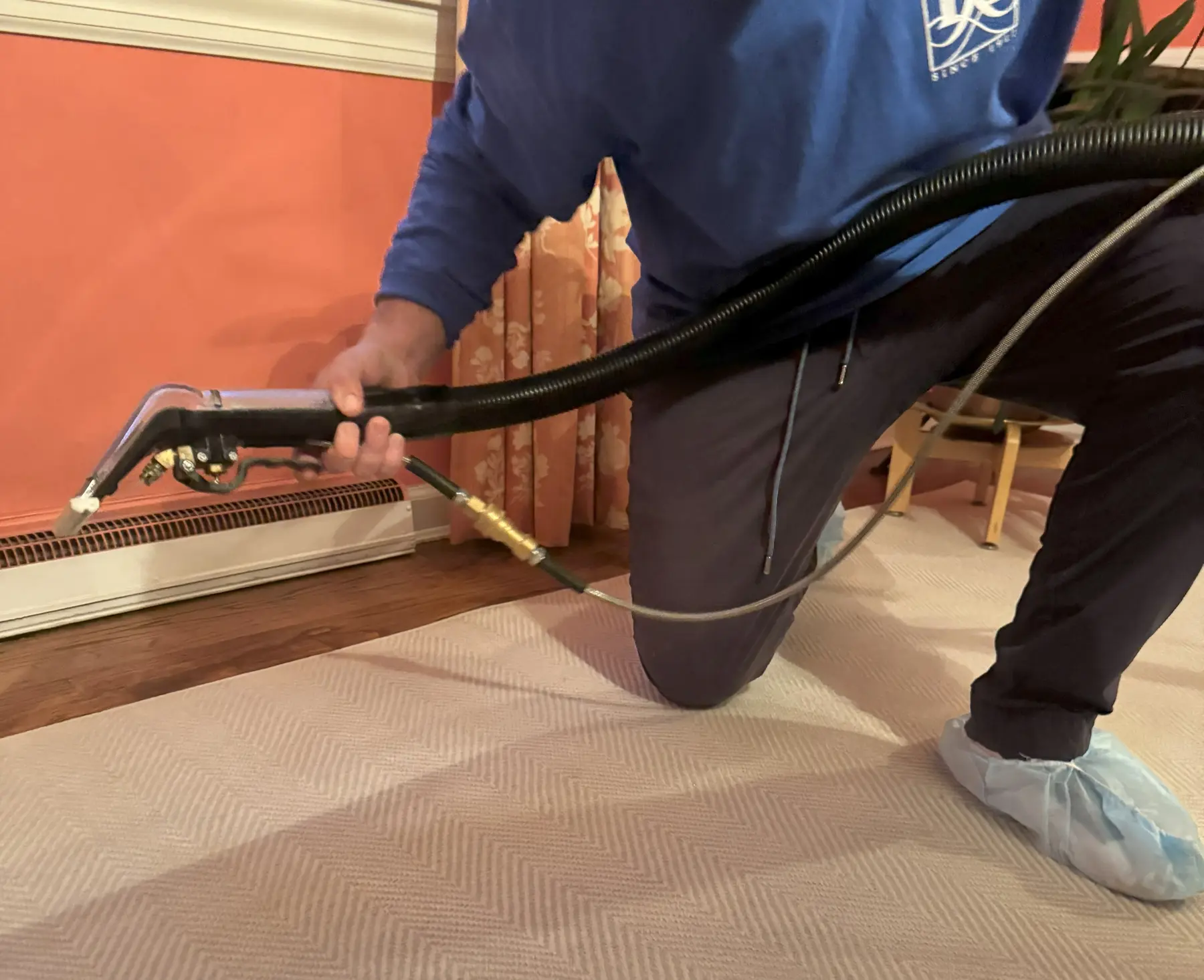 Carpet Cleaning