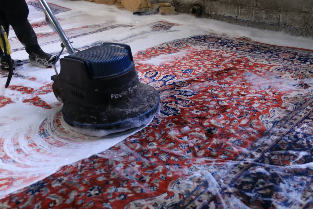 Rug cleaning in long island, NY