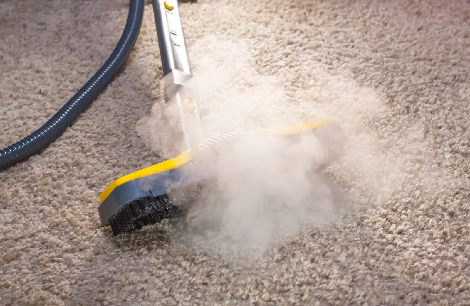 professional carpet cleaning methods