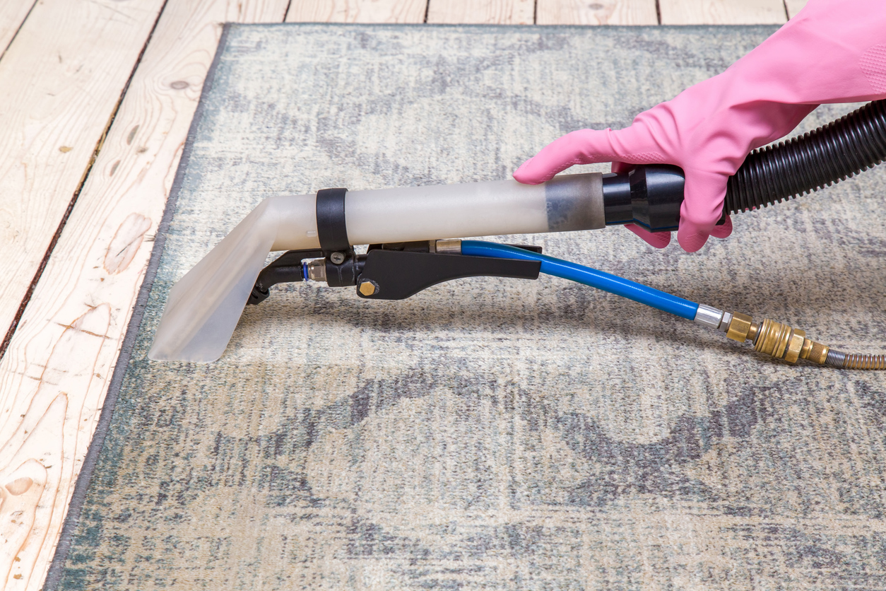 rug cleaners long island ny