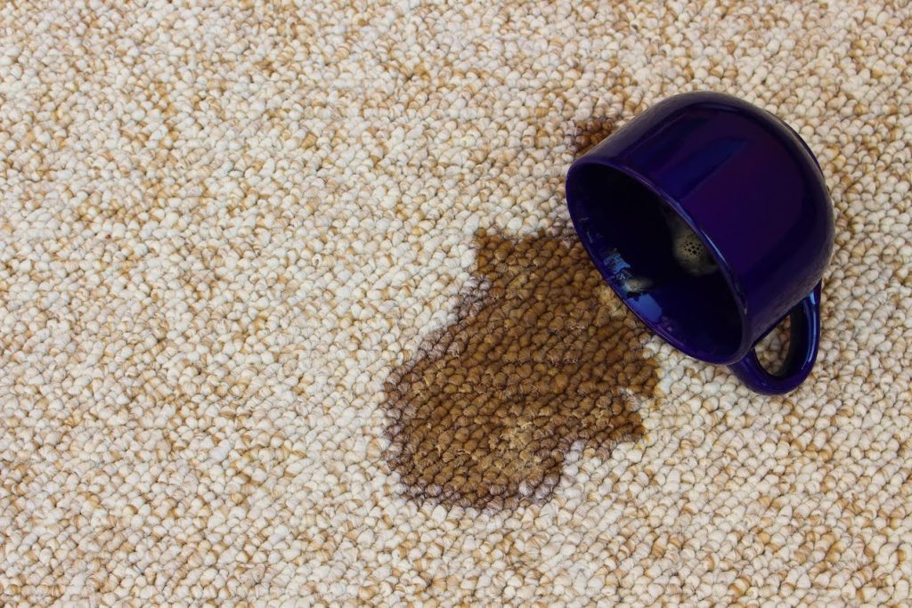 spot cleaning any type of carpet stain